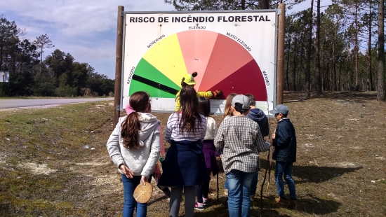 Câmara de Cantanhede alerta para cuidados a ter durante o Período Crítico de Incêndios Rurais