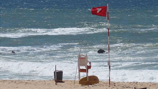 Câmara de Cantanhede dá continuidade ao projeto ColorAdd na Praia da Tocha
