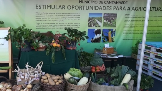 Gabinete Municipal de Apoio ao Agricultor ultima lançamento da campanha “Da Terra à Mesa”
