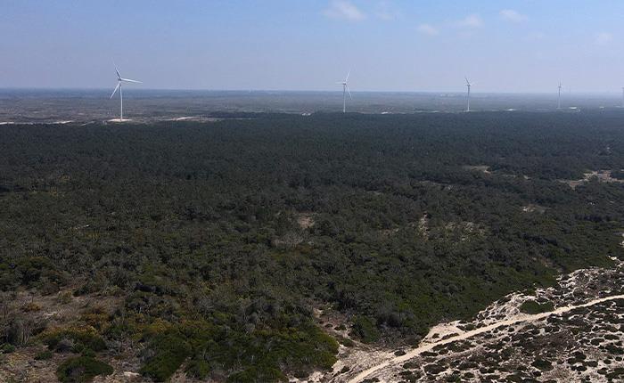 Plano de Ação Climática do Município de Cantanhede focado na adaptação e resiliência ao impacto das Alterações Climáticas