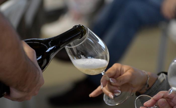 Mercado Municipal acolhe formação sobre harmonização de vinhos