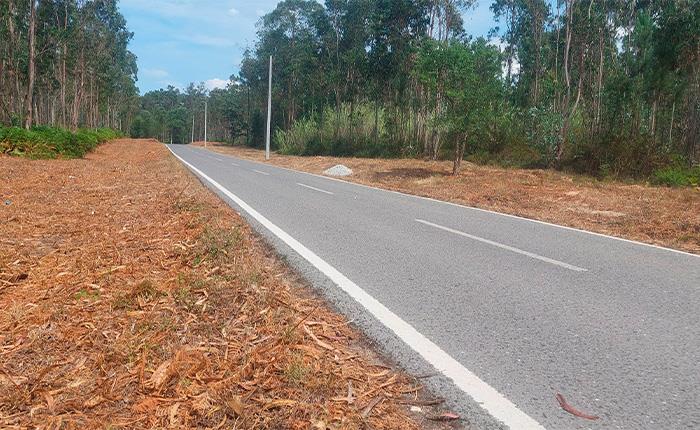 Trabalhos de gestão de combustível nas faixas associadas à rede rodoviária em fase de conclusão