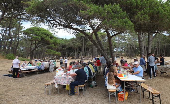 Convívio de aposentados com atividades lúdico-desportivas reúne 70 participantes na Praia da Tocha