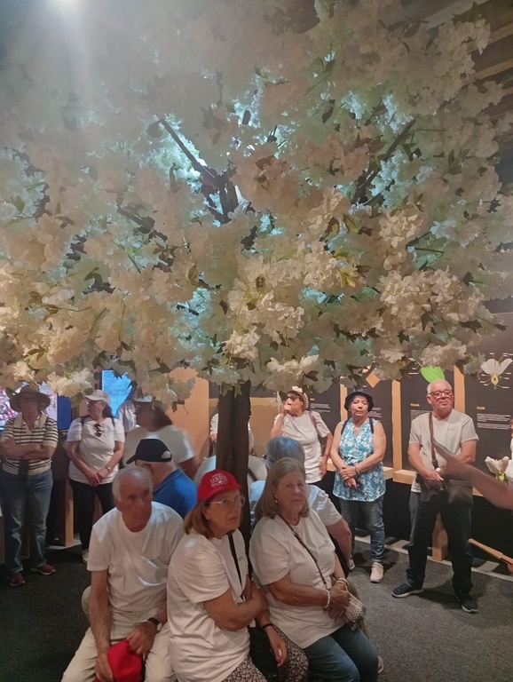 ES Museu da Cereja